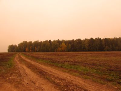 Священная роща