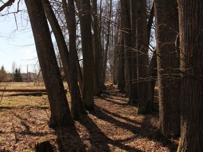 Усадебный парк