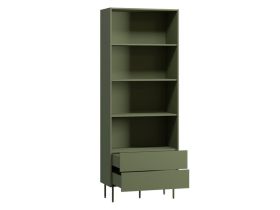 Стеллаж Дигарс 83x220 Оливковый