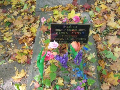 Могила Пчелина Владимира Николаевича (1869-1941)