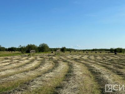 Более 435 тысяч тонн сена должны заготовить в Якутии