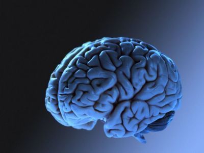 Ученые запустили робота-змею в мозг человека