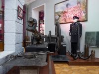 Дом Мешкова