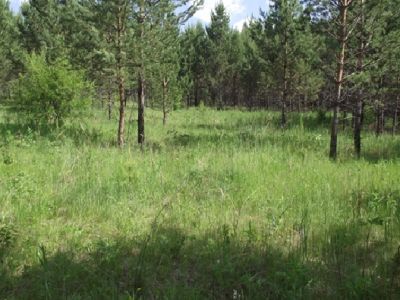 Хурэ убгэдэ хушун