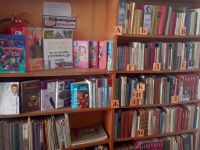 Васильевская сельская библиотека