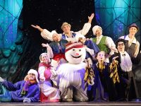 Негосударственный авторский театр Ad Liberum