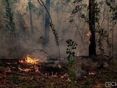 Четыре лесных пожара ликвидировали за сутки в Якутии