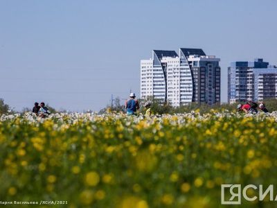 В Якутске разработали дорожную карту гостеприимства