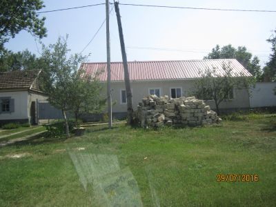 Первые каменные дома