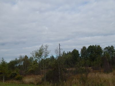 Родина Героя Советского Союза И.П. Павлюченкова, погибшего в октябре 1943 года