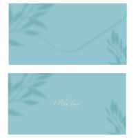 Конверт для денег MESHU "Aquamarine", 85*164 мм, soft-touchh, фольга