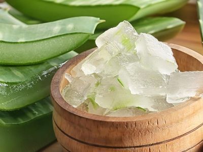 Польза алоэ для организма