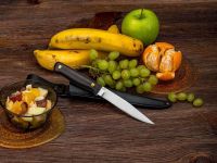 Нож разделочный АиР "Заноза" ЦМ, сталь 95х18, рукоять граб