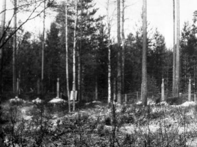 Могилы советских воинов, погибших в годы Великой Отечественной войны