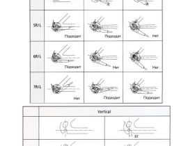 Планетарная втулка Shimano Nexus SG-C6001-8D 8 скоростей, CenterLock (черный 32)