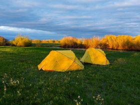 Луковый сплав