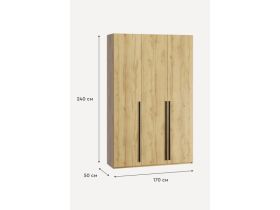 Распашной шкаф Кимбол 3-170x240 Дуб Золотистый