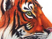 Набор маркеров Chameleon Earth Tones оттенки земли 5 шт