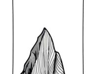 Сноуборд SHORNER MINIMAL 22/23