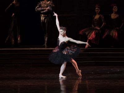 Билеты на Лебединое озеро (Театр им. Станиславского и Немировича­-Данченко) / Театр | Афиша | ИнфоТаймс