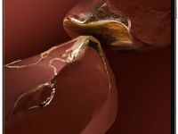 Смартфон HUAWEI