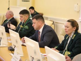 В Якутске обсудили эффективность охраны лесов на Дальнем Востоке