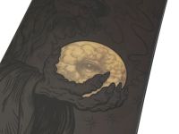 Сноуборд ROSSIGNOL EVADER 22/23