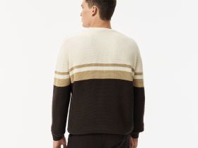 Мужской свитер Lacoste в полоску классического кроя