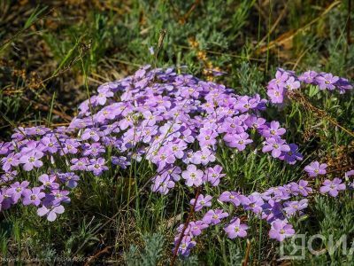 Народные приметы на 27 июля. Что нельзя и можно делать в Акилов день