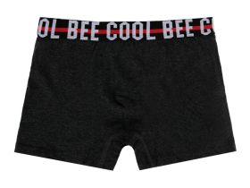 Трусы - боксеры, 3 шт. в комплекте для мальчика