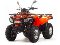 Квадроцикл MOTOLAND 200 Max