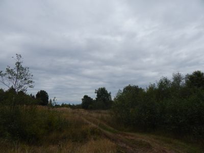 Родина Героя Советского Союза Е.М. Грищунова, погибшего в октябре 1943 г.