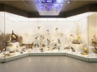 Музей природы г. Новосибирска