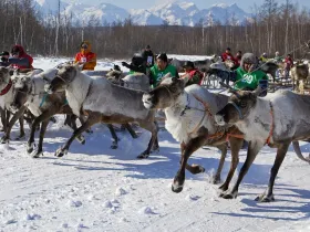 Эвенки из Якутии отпраздновали День оленевода в Забайкалье