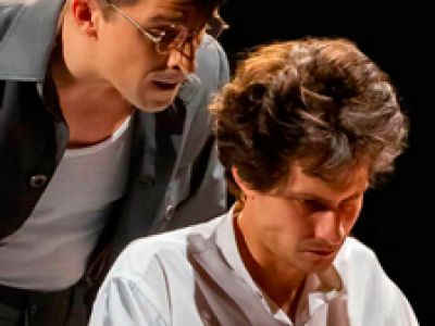 Белые флаги