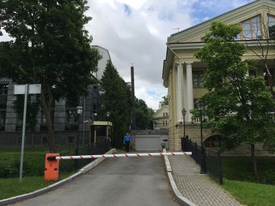 Пальмовая оранжерея на участке Елисеева
