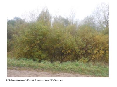 Священная роща