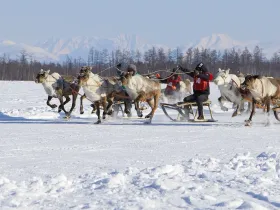 Эвенки из Якутии отпраздновали День оленевода в Забайкалье