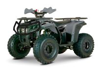 Квадроцикл YACOTA Dragon 125