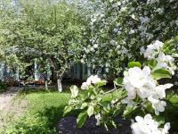 Дом-музей А. П. Гайдара