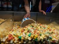 Кинотеатр «Панорама» г. Брянска