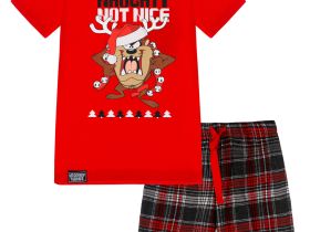 Комплект для мальчиков: фуфайка (футболка) трикотажная, шорты текстильные