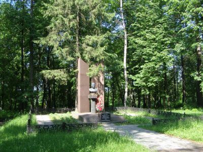 Могила Дегтярева Василия Алексеевича (1879-1949)