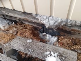 В сельской школе Амгинского района Якутии вспыхнул пожар