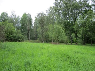 Усадьба Чевакинских. Парк