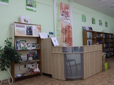 Детская библиотека им. Д. И. Менделеева г. Омска