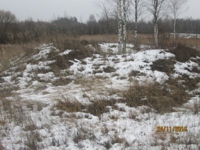 Памятное место, где летом и осенью 1941 г. располагался штаб 7-й Бауманской дивизии ополченцев г. Москвы, оборонявшей г. Дорогобуж