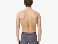 Мужское нижнее бельё Lacoste из хлопка