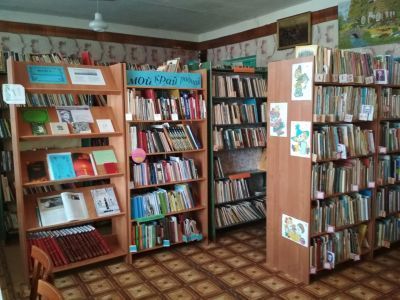 Лесоматюнинская библиотека