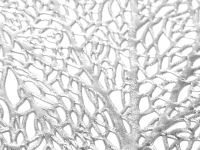 Плейсмат Le Lien, серебро